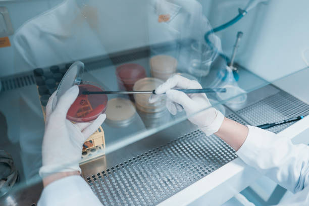 Technician performing a freezer diagnostic