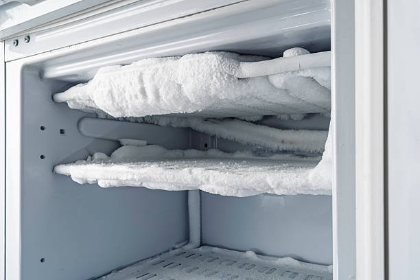 Technician reviewing freezer repair diagnostics